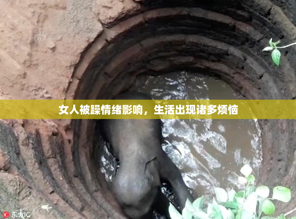 女人被躁情绪影响，生活出现诸多烦恼