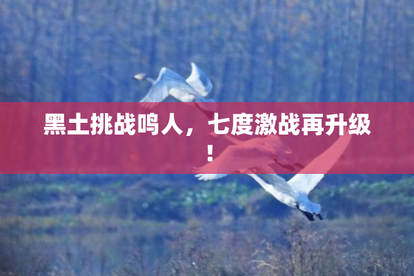 黑土挑战鸣人，七度激战再升级！