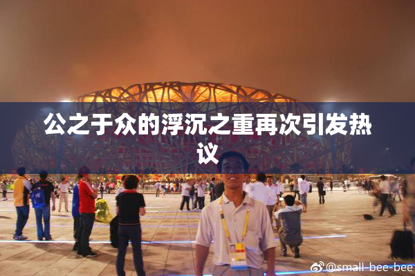 公之于众的浮沉之重再次引发热议