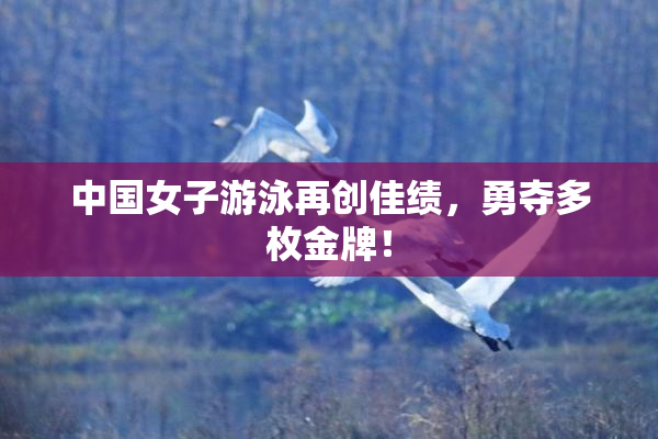 中国女子游泳再创佳绩，勇夺多枚金牌！