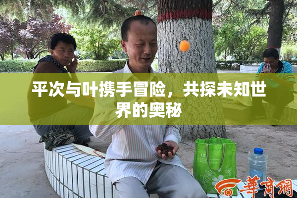 平次与叶携手冒险，共探未知世界的奥秘