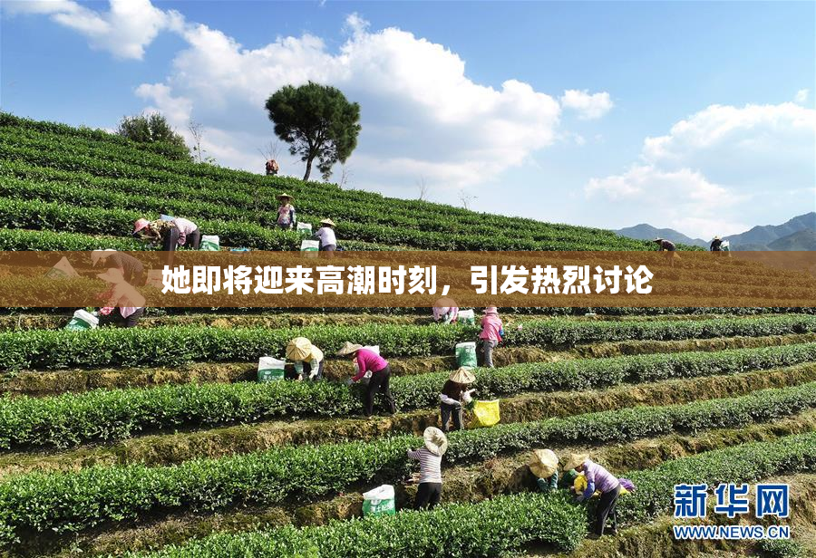 她即将迎来高潮时刻，引发热烈讨论
