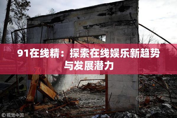 91在线精：探索在线娱乐新趋势与发展潜力
