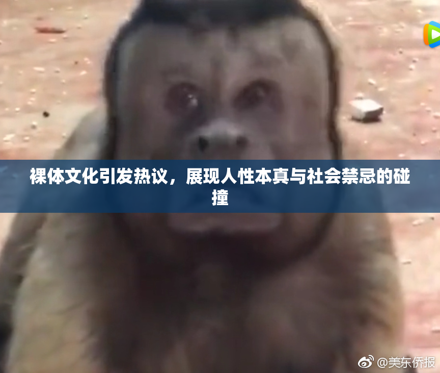 裸体文化引发热议，展现人性本真与社会禁忌的碰撞