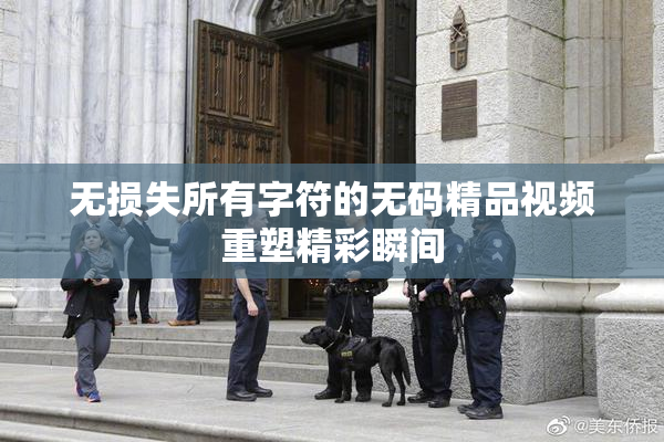 无损失所有字符的无码精品视频重塑精彩瞬间