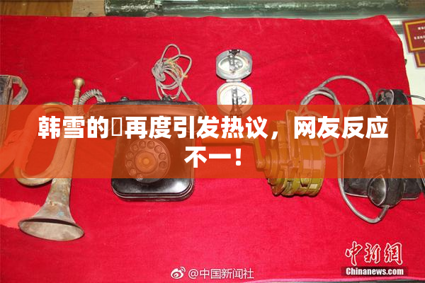 韩雪的婬再度引发热议，网友反应不一！