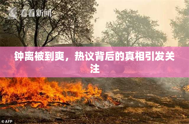 钟离被到爽，热议背后的真相引发关注