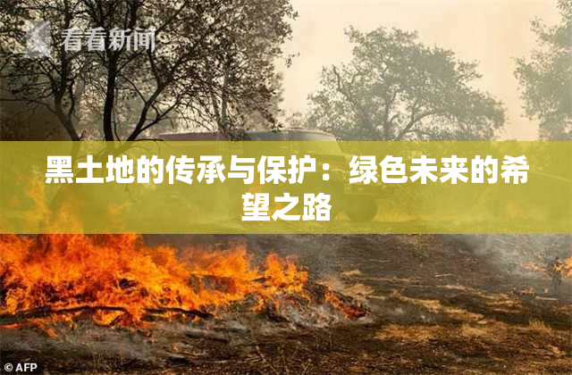 黑土地的传承与保护：绿色未来的希望之路