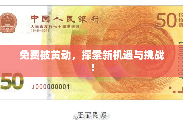 免费被黄动，探索新机遇与挑战！