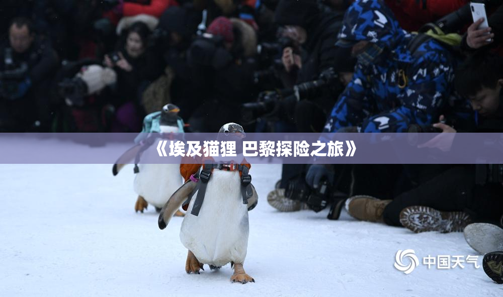 《埃及猫狸 巴黎探险之旅》