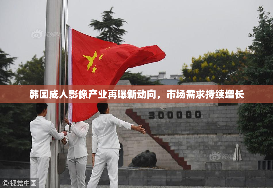 韩国成人影像产业再曝新动向，市场需求持续增长