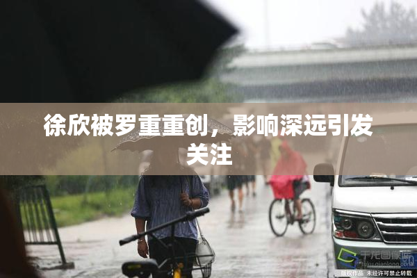 徐欣被罗重重创，影响深远引发关注