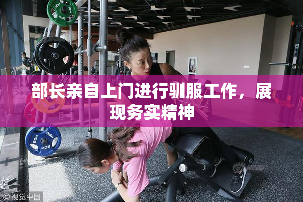 部长亲自上门进行驯服工作，展现务实精神