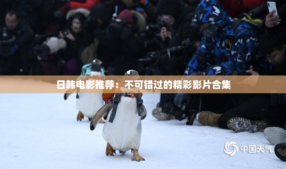 日韩电影推荐：不可错过的精彩影片合集