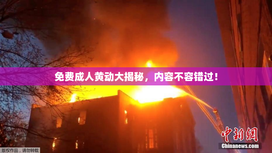 免费成人黄动大揭秘，内容不容错过！