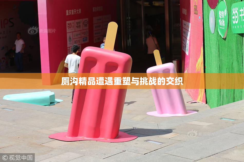 厕沟精品遭遇重塑与挑战的交织