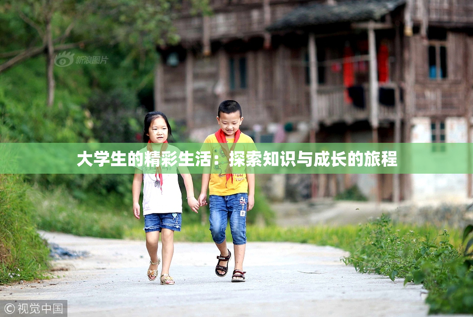 大学生的精彩生活：探索知识与成长的旅程