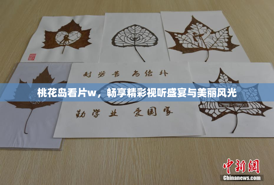 桃花岛看片w，畅享精彩视听盛宴与美丽风光
