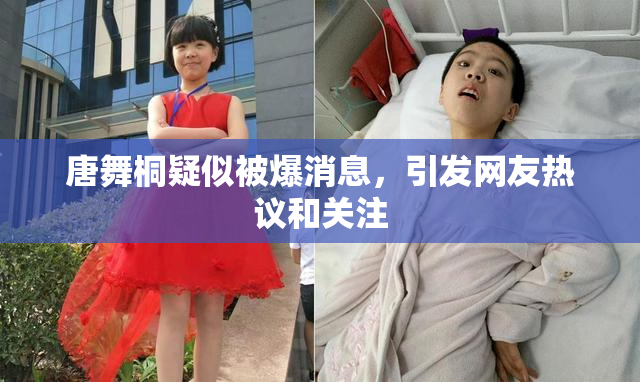 唐舞桐疑似被爆消息，引发网友热议和关注