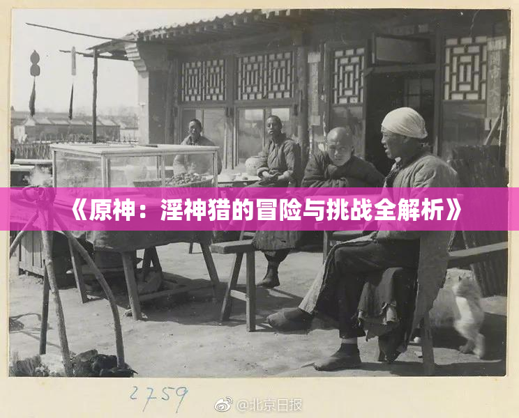 《原神：淫神猎的冒险与挑战全解析》