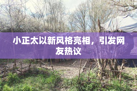 小正太以新风格亮相，引发网友热议