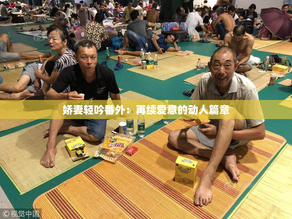 娇妻轻吟番外：再续爱意的动人篇章