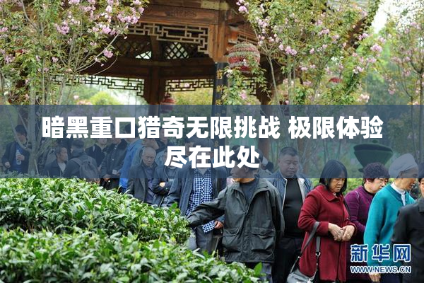 暗黑重口猎奇无限挑战 极限体验尽在此处
