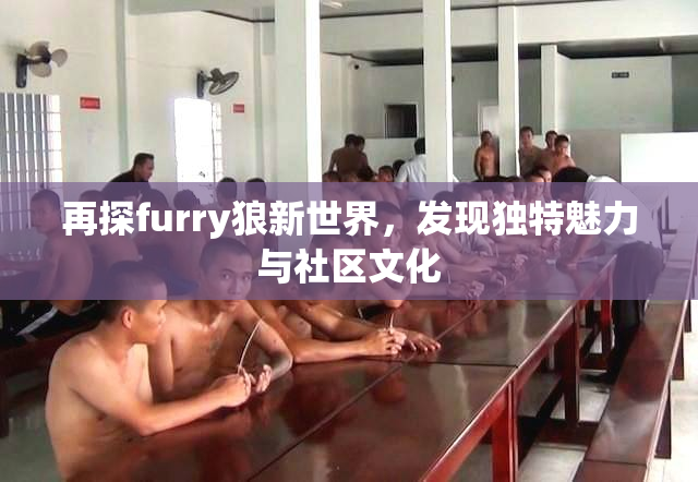 再探furry狼新世界，发现独特魅力与社区文化