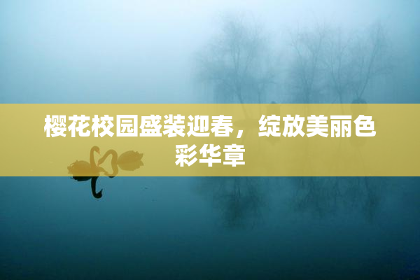 樱花校园盛装迎春，绽放美丽色彩华章