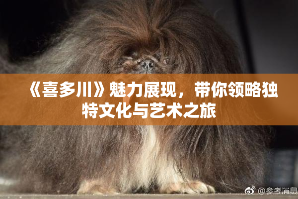 《喜多川》魅力展现，带你领略独特文化与艺术之旅