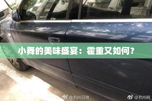 小舞的美味盛宴：霍重又如何？