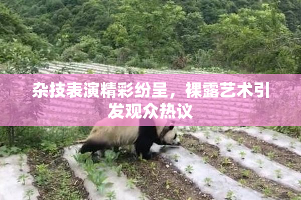杂技表演精彩纷呈，裸露艺术引发观众热议