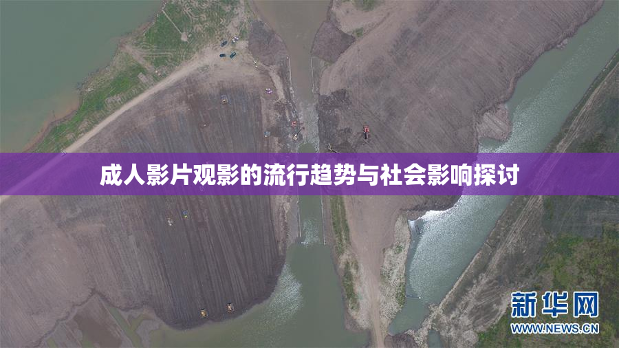 成人影片观影的流行趋势与社会影响探讨