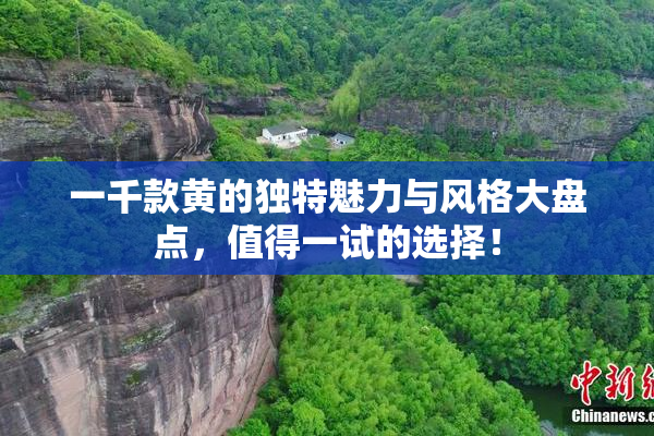 一千款黄的独特魅力与风格大盘点，值得一试的选择！