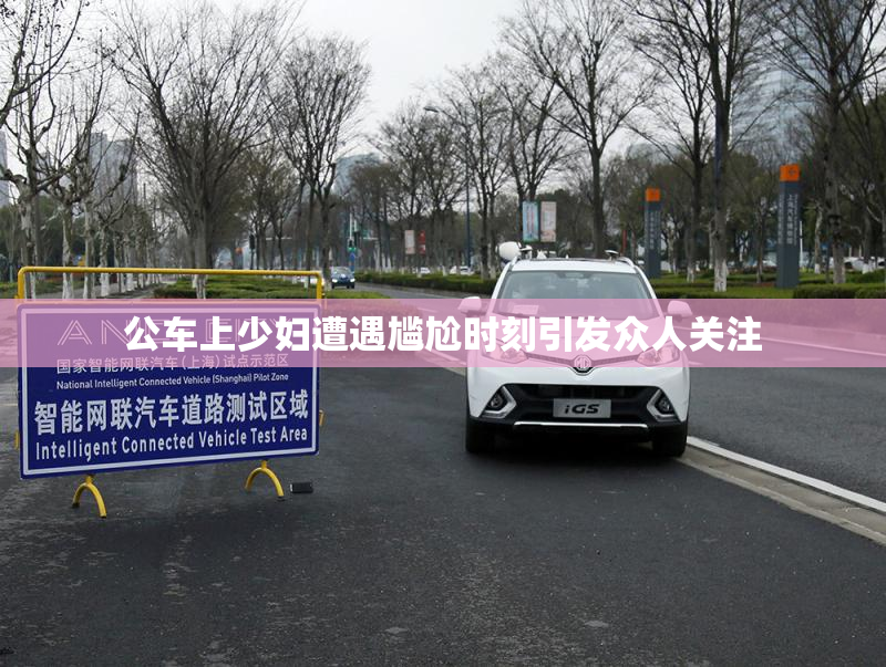 公车上少妇遭遇尴尬时刻引发众人关注
