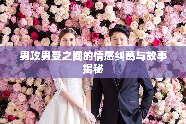 男攻男受之间的情感纠葛与故事揭秘