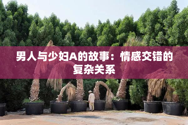 男人与少妇A的故事：情感交错的复杂关系
