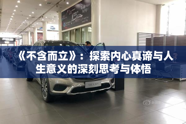 《不含而立》：探索内心真谛与人生意义的深刻思考与体悟