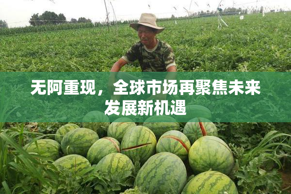 无阿重现，全球市场再聚焦未来发展新机遇