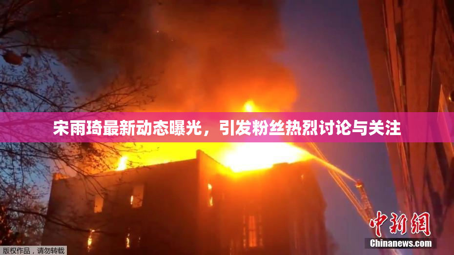 宋雨琦最新动态曝光，引发粉丝热烈讨论与关注