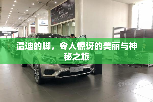 温迪的脚，令人惊讶的美丽与神秘之旅