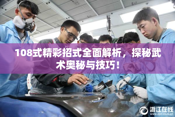 108式精彩招式全面解析，探秘武术奥秘与技巧！