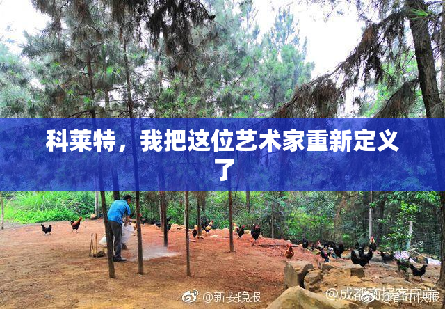 科莱特，我把这位艺术家重新定义了