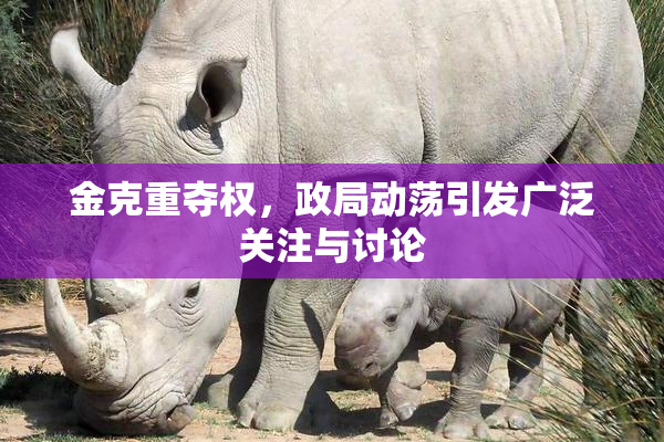 金克重夺权，政局动荡引发广泛关注与讨论