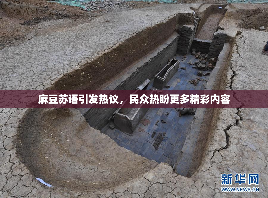 麻豆苏语引发热议，民众热盼更多精彩内容