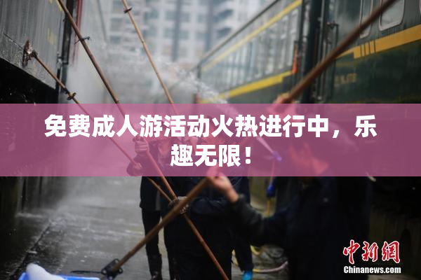 免费成人游活动火热进行中，乐趣无限！