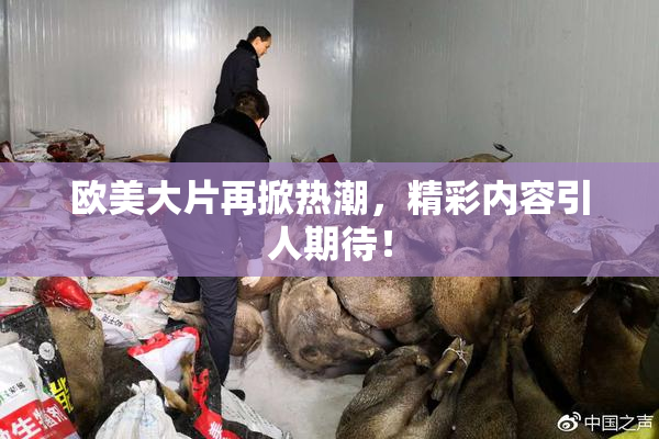 欧美大片再掀热潮，精彩内容引人期待！