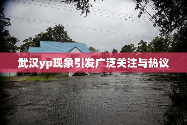 武汉yp现象引发广泛关注与热议