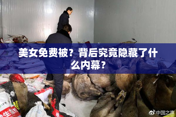 美女免费被？背后究竟隐藏了什么内幕？