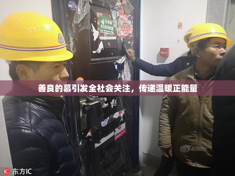 善良的慕引发全社会关注，传递温暖正能量